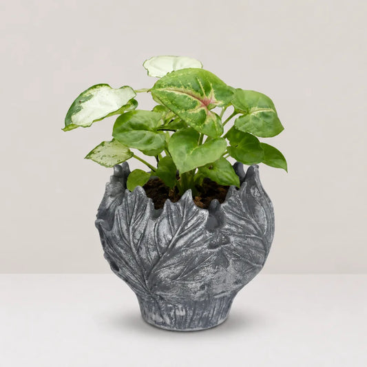 Verdant Planter Cover