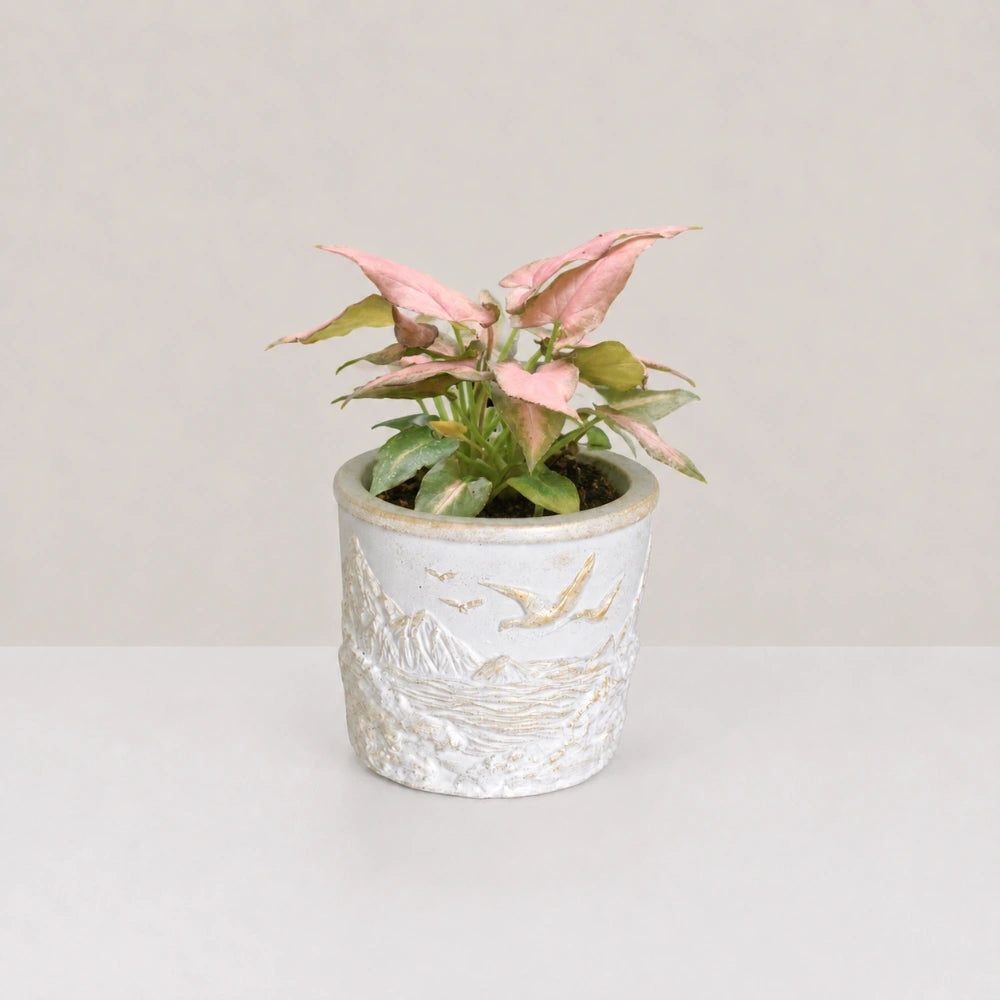 Summit Planter Cover