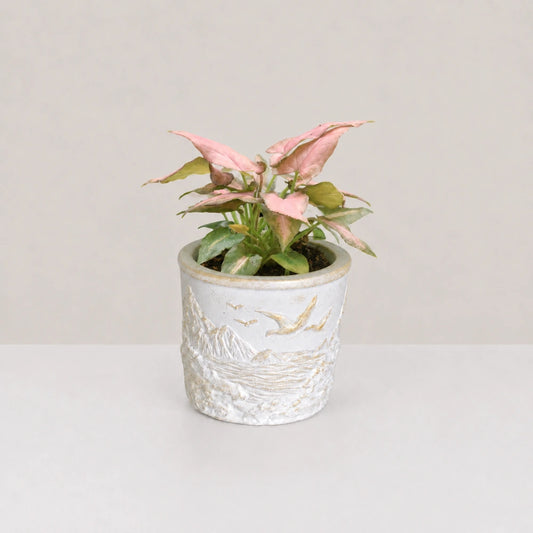 Summit Planter Cover