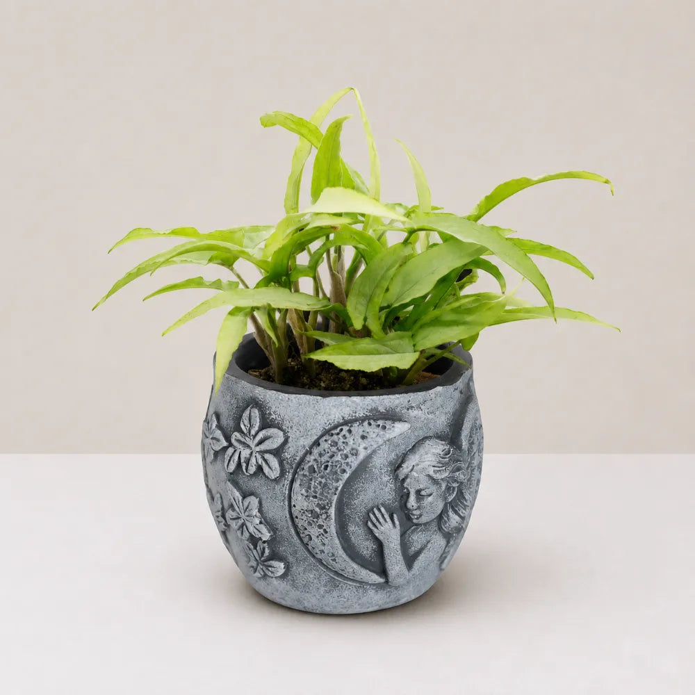 Cherub Planter Cover