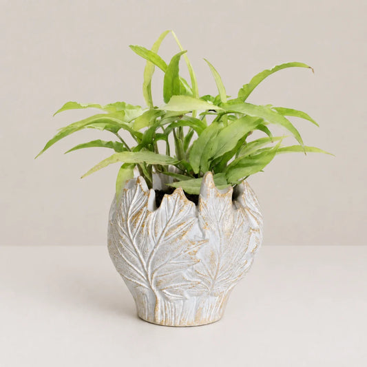 Verdant Planter Cover