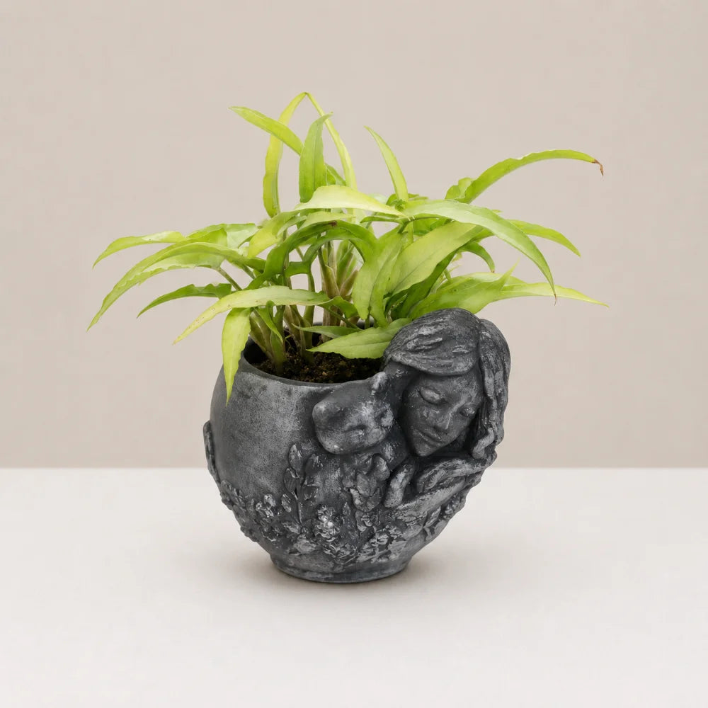 Little Dreamer Planter Cover