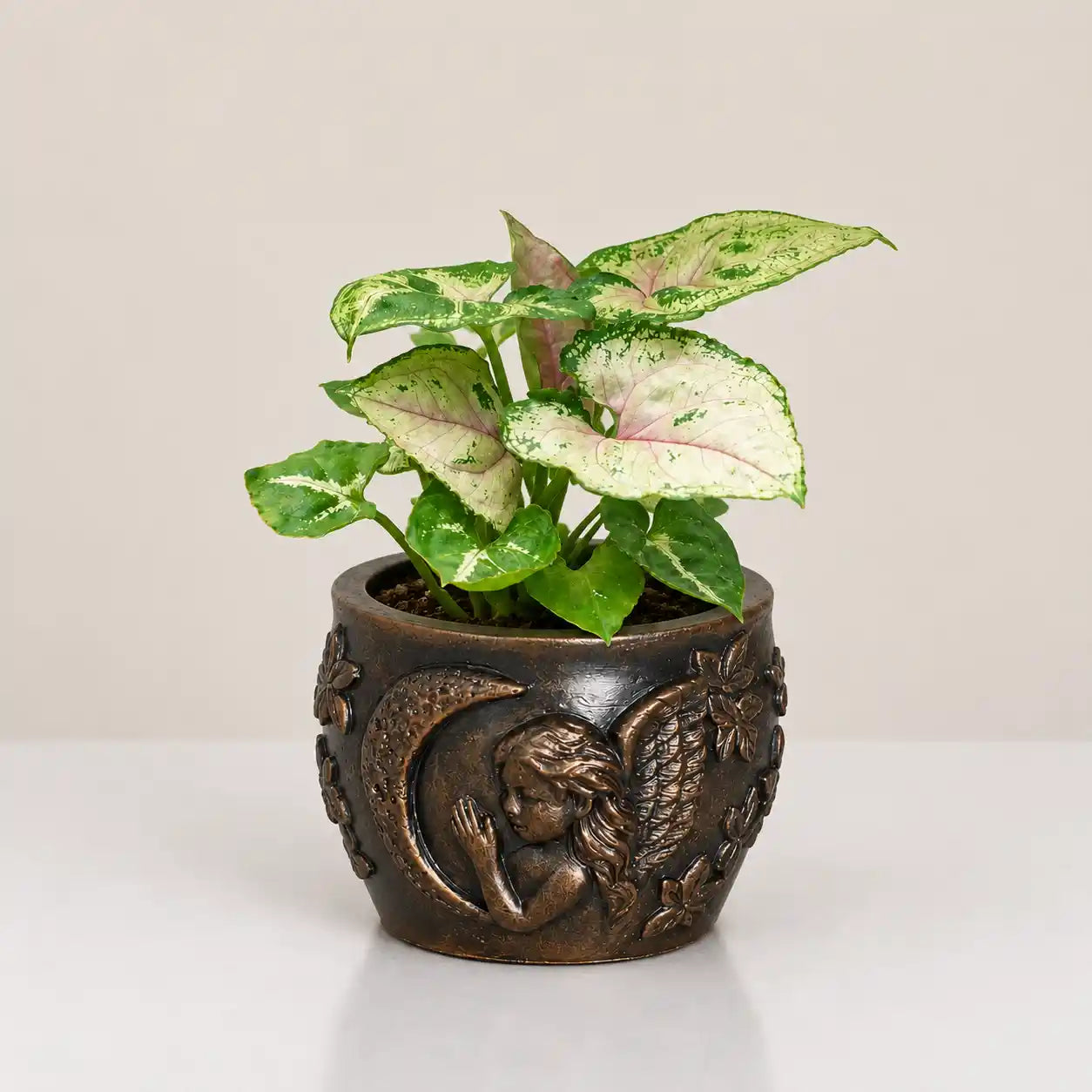 Cherub Planter Cover