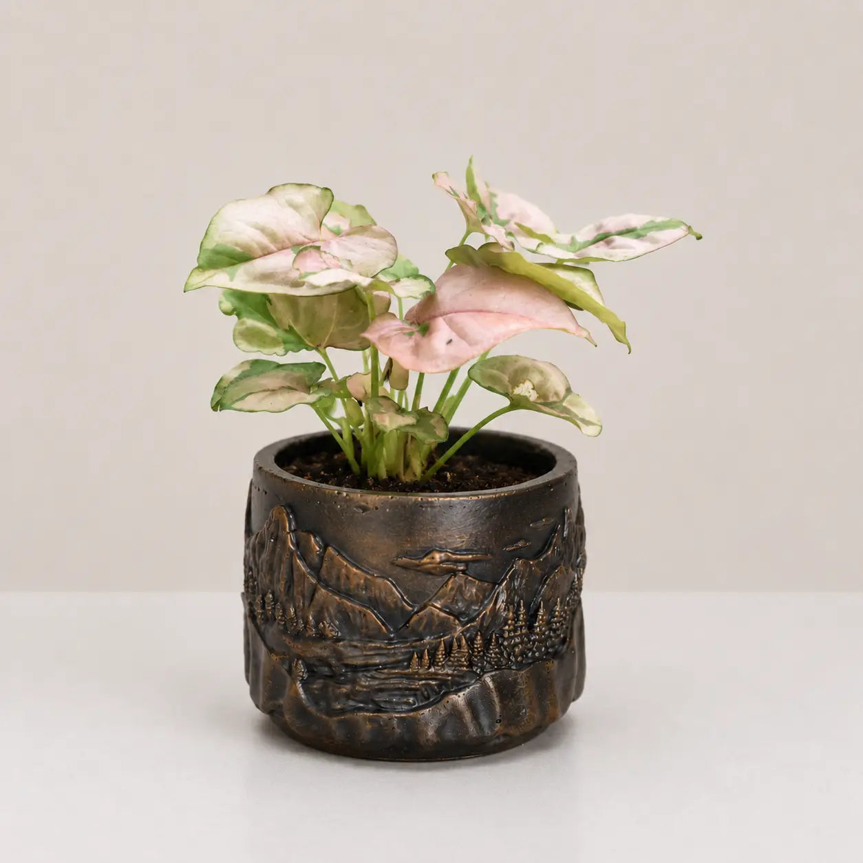 Alpine Planter Cover