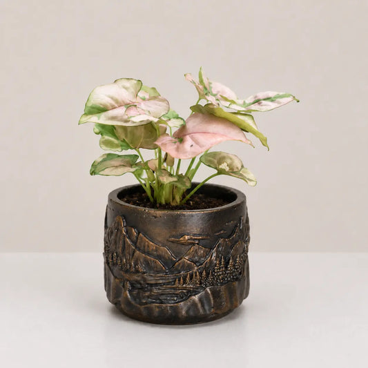 Alpine Planter Cover