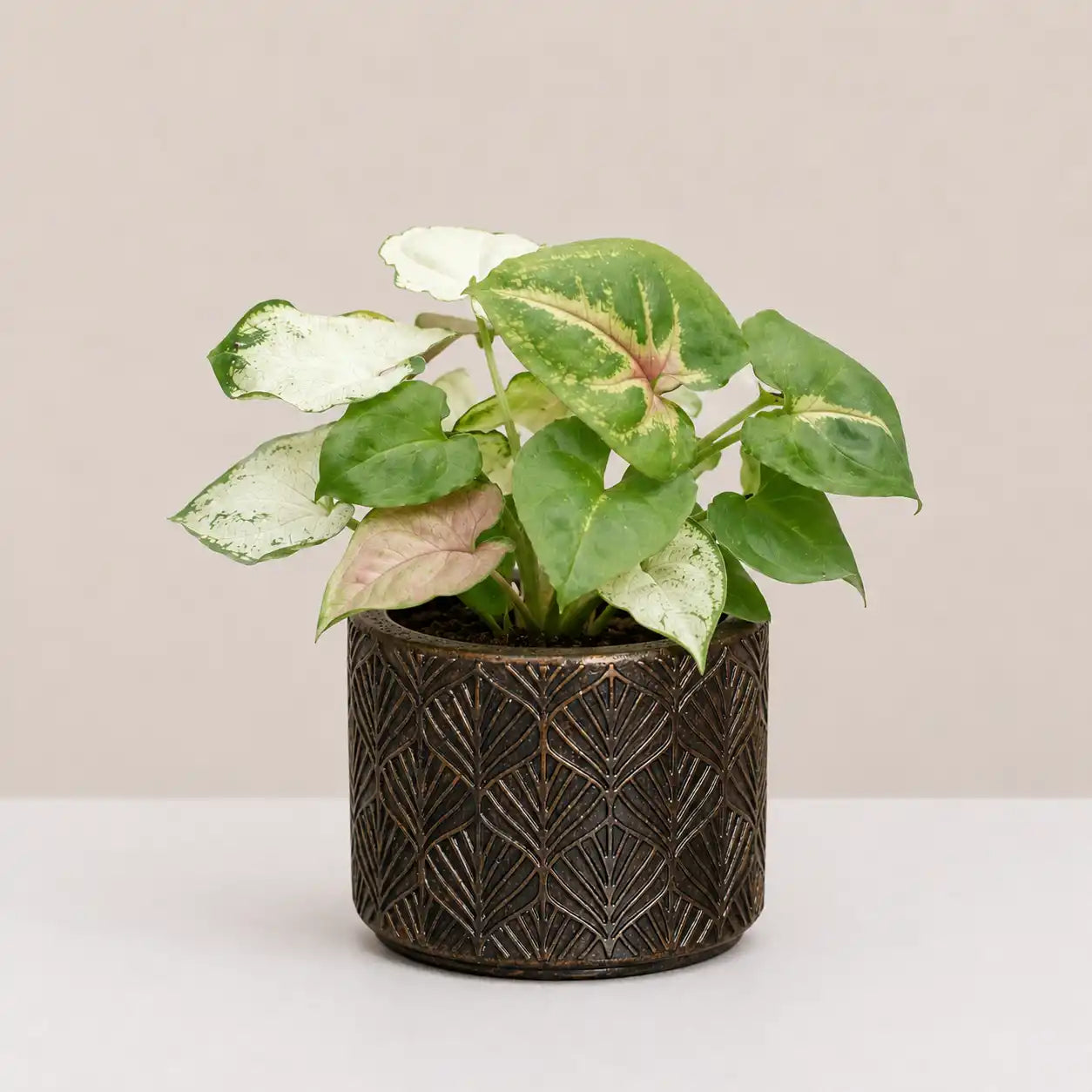 Mosaic Planter Cover