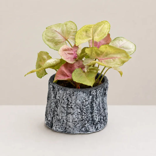 Terra Planter Cover