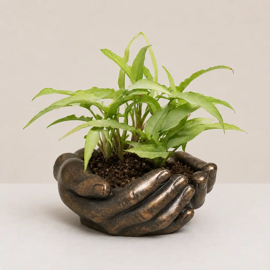 Nurture Planter Cover