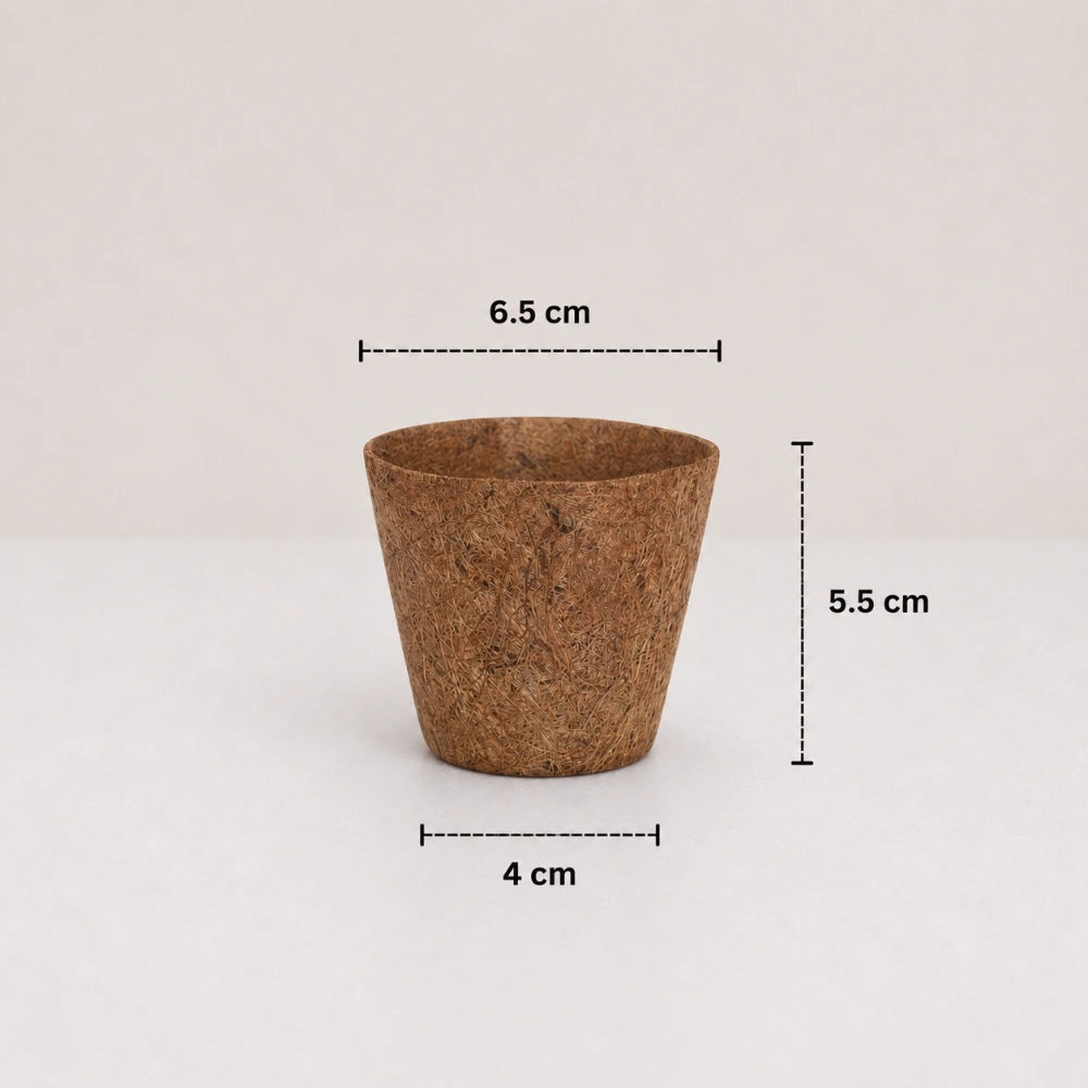 Coco Natural Planter