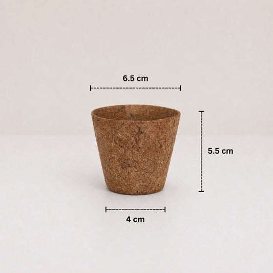 Coco Natural Planter