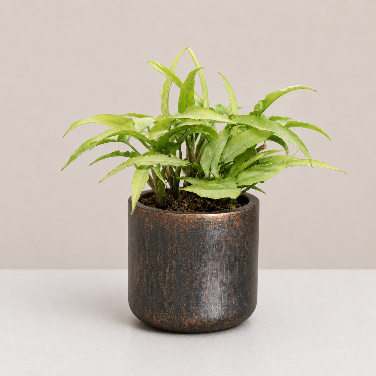 Luna Planter Cover