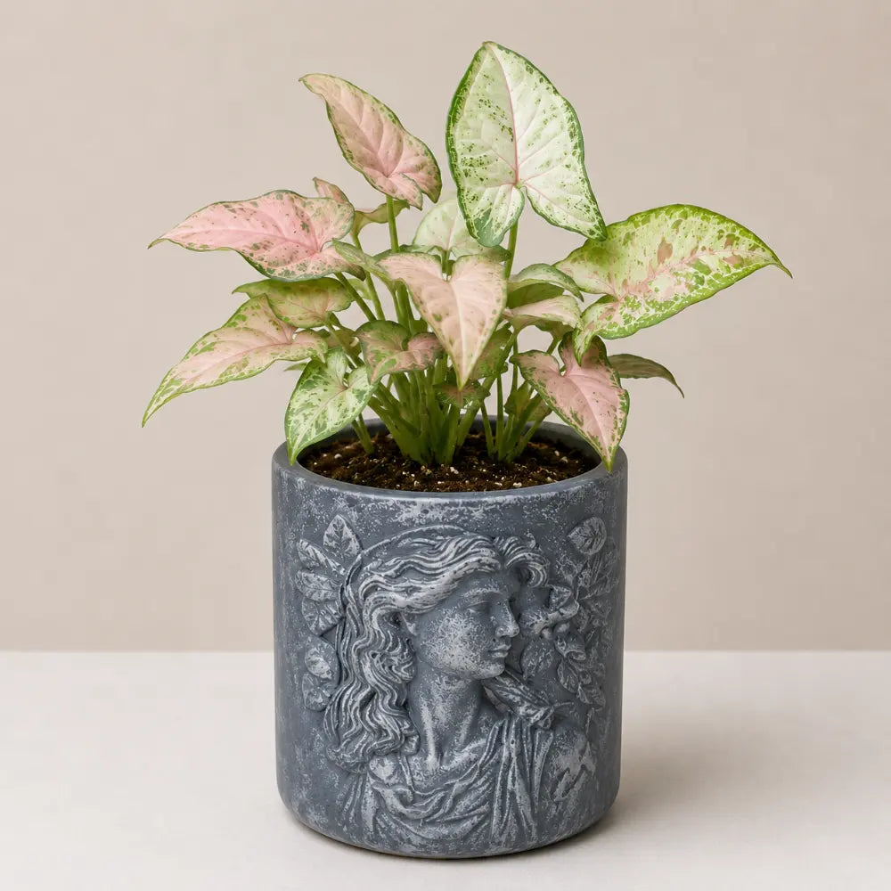 Elysian Planter Cover