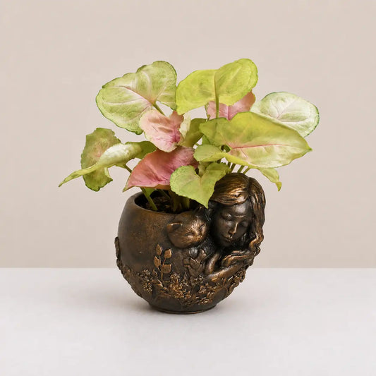 Little Dreamer Planter Cover