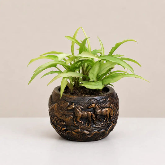 Wisteria Planter Cover