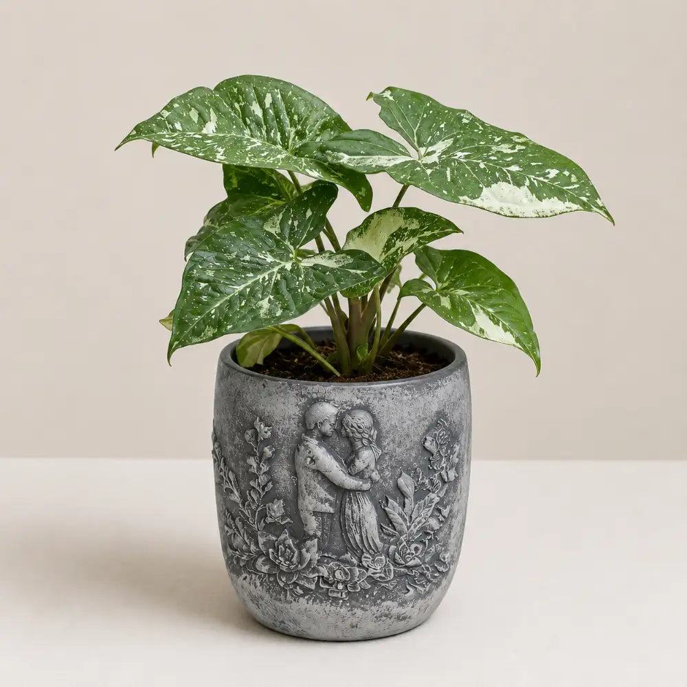 Eternal Embrace Planter Cover