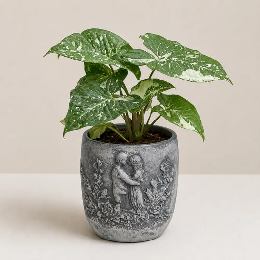 Eternal Embrace Planter Cover