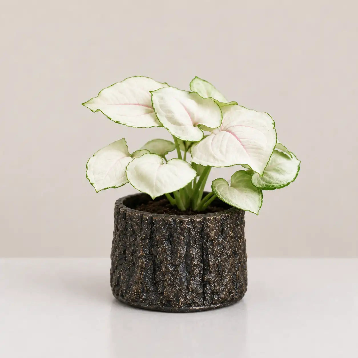 Terra Planter Cover