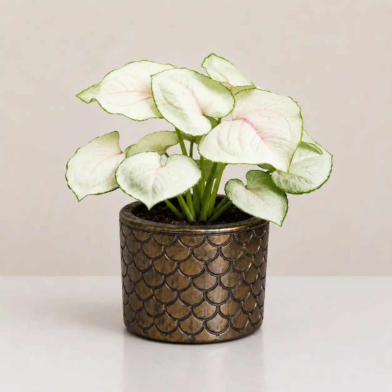Quilt Planter Cover
