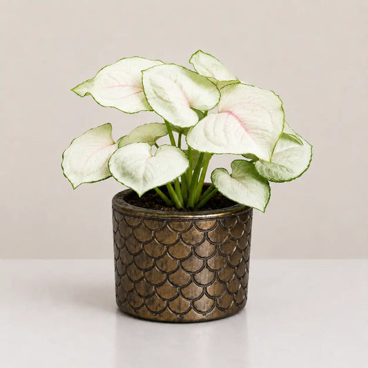Quilt Planter Cover