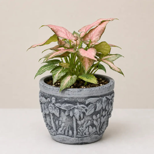 Oasis Planter Cover