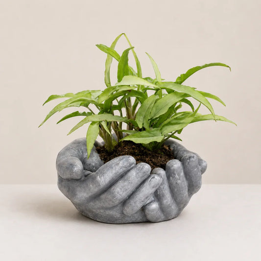 Nurture Planter Cover