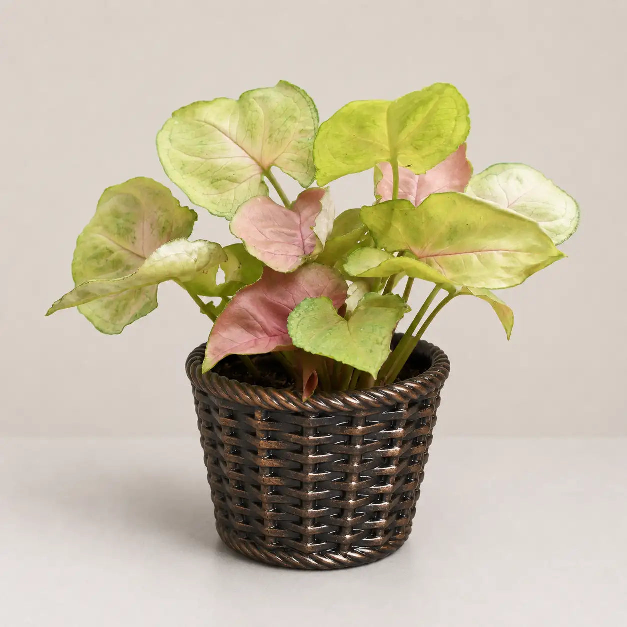 Woven Planter Cover