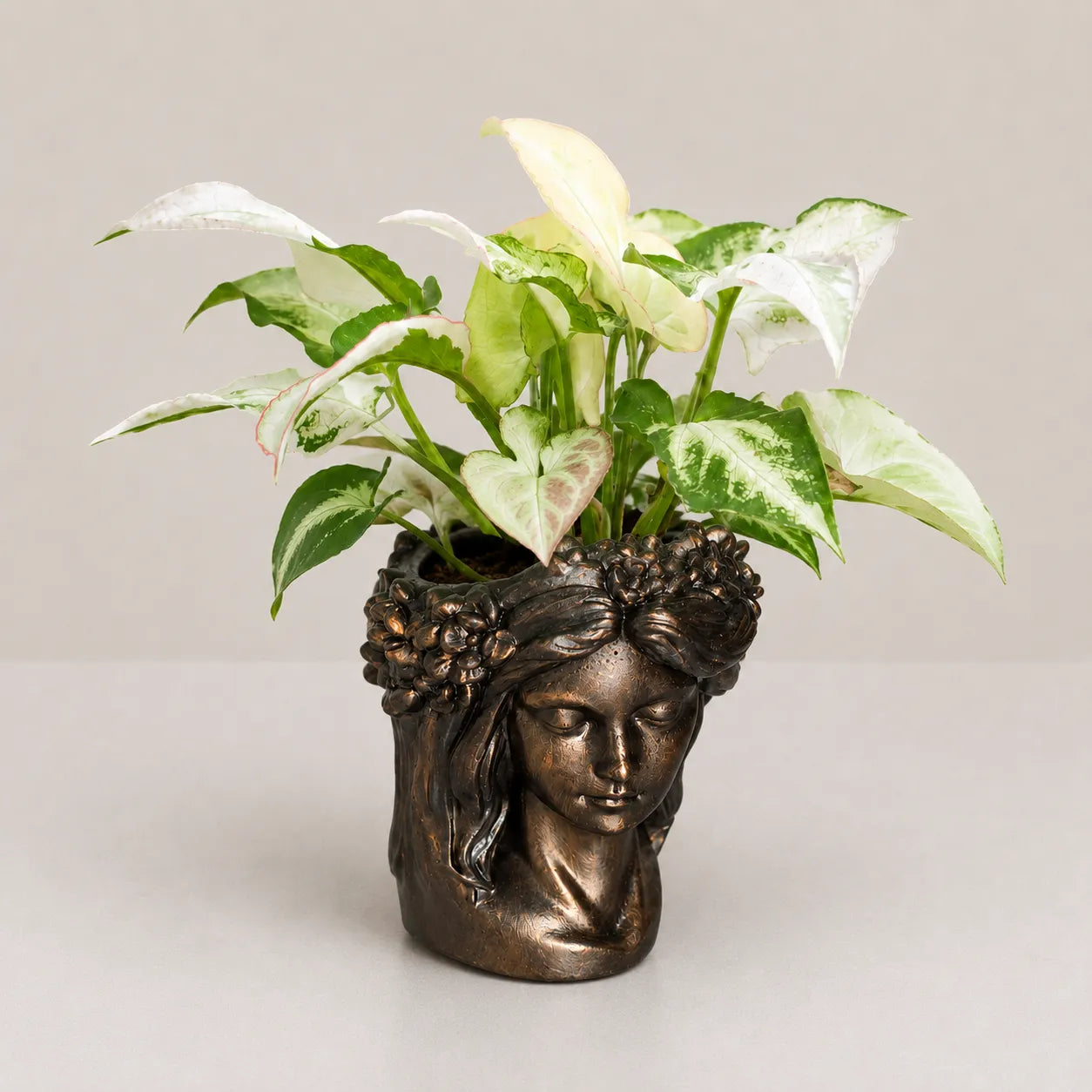 Aurora Planter Cover