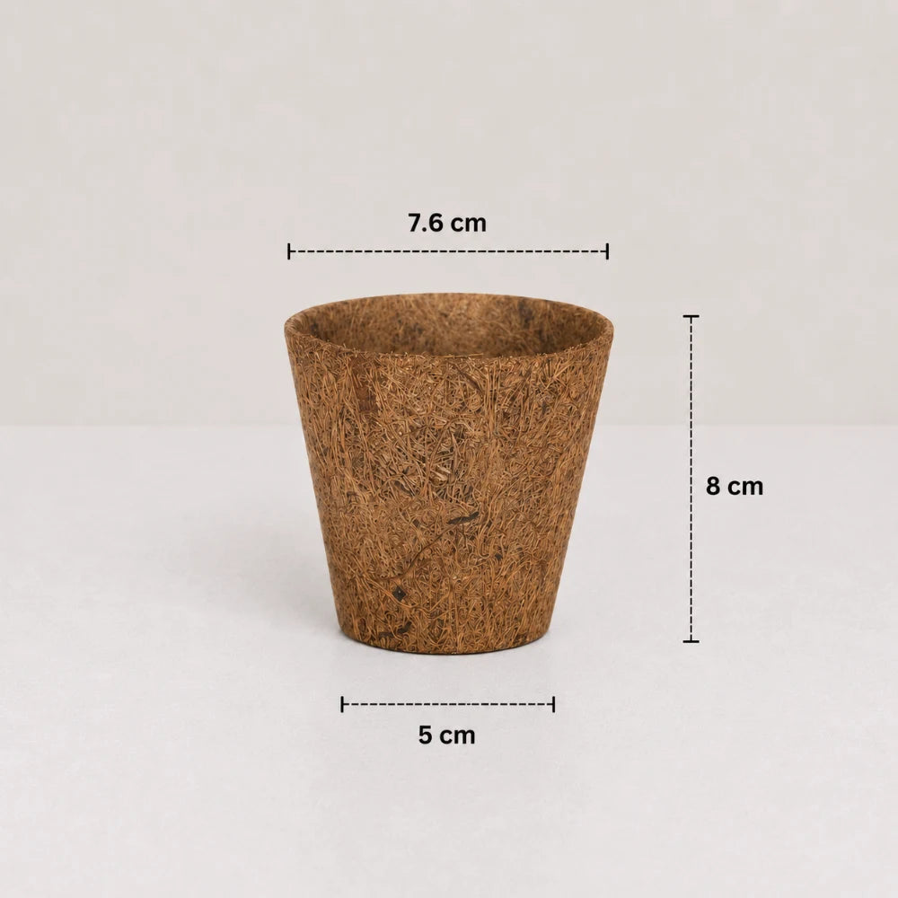 Coco Natural Planter