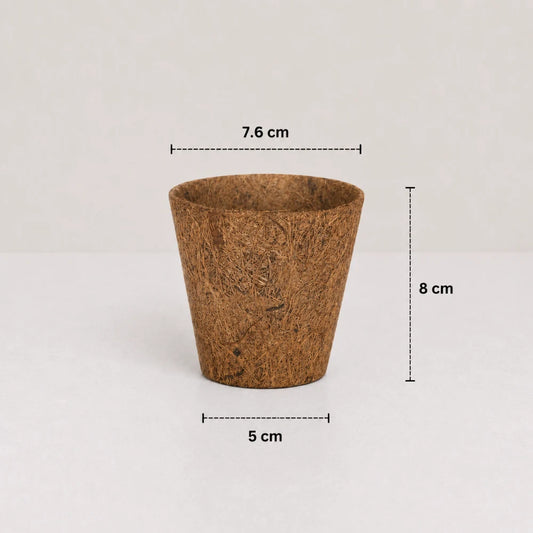 Coco Natural Planter
