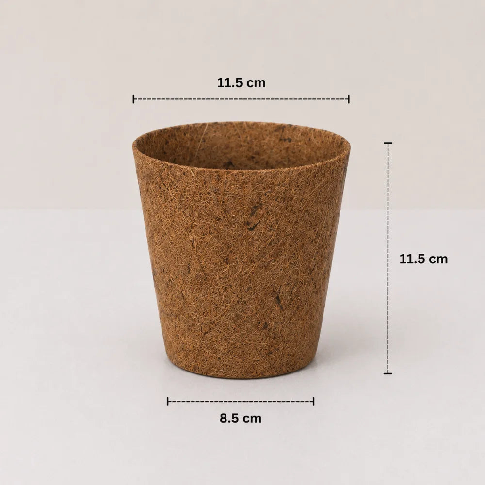 Coco Natural Planter