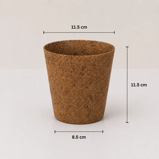 Coco Natural Planter