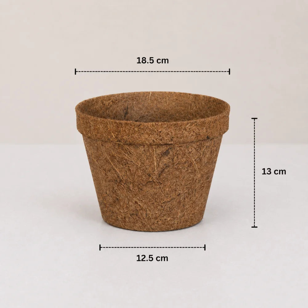 Coco Natural Planter