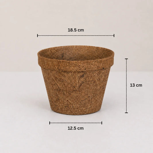 Coco Natural Planter