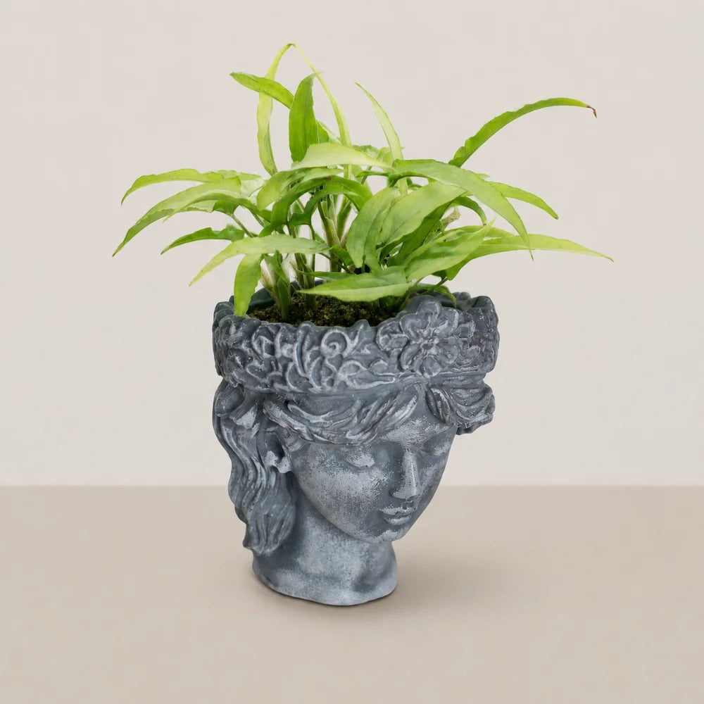 Flora Muse Planter Cover