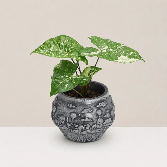 Windmill Planter Cover