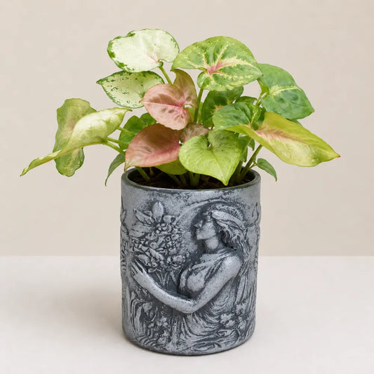Florabelle Planter Cover