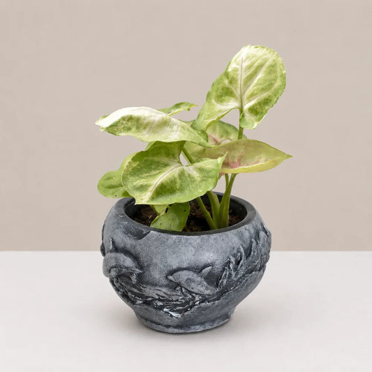 Ocean Whisper Planter Cover