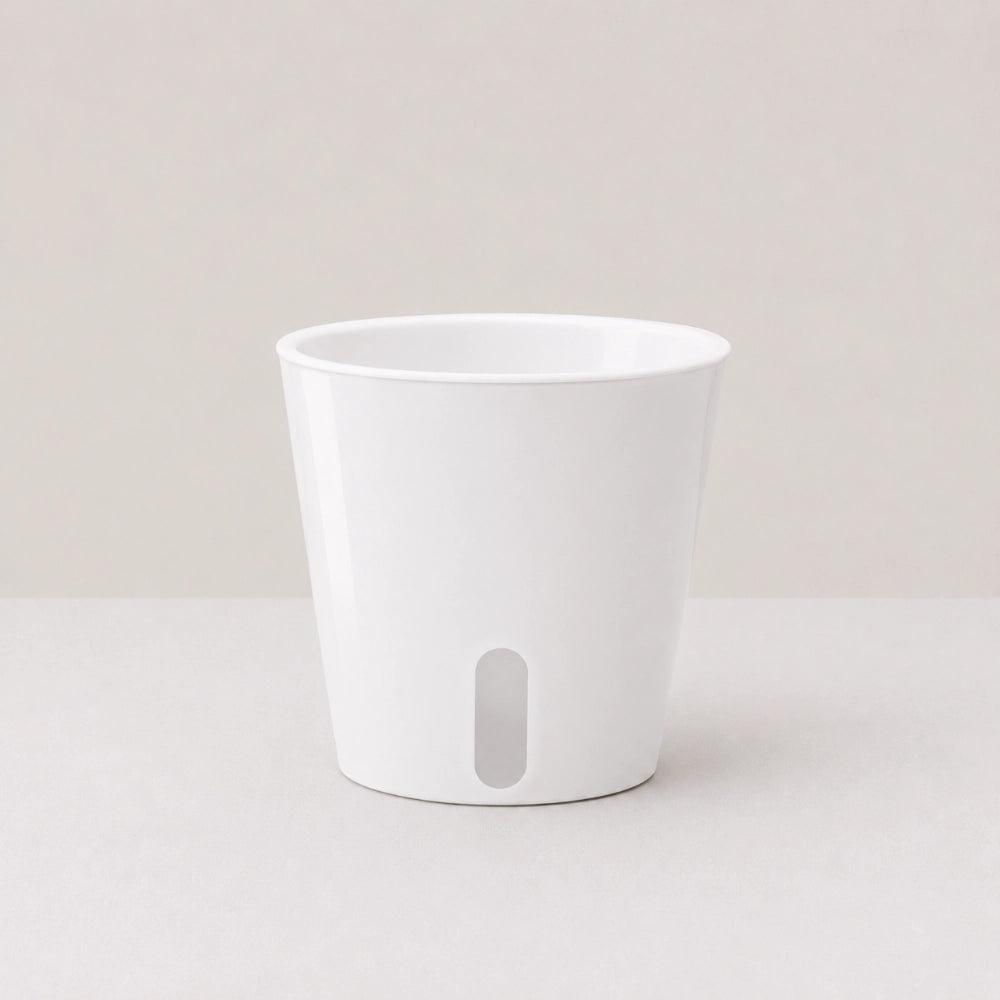 AquaView Self-Watering Planter
