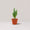 Fairy Castle Cactus