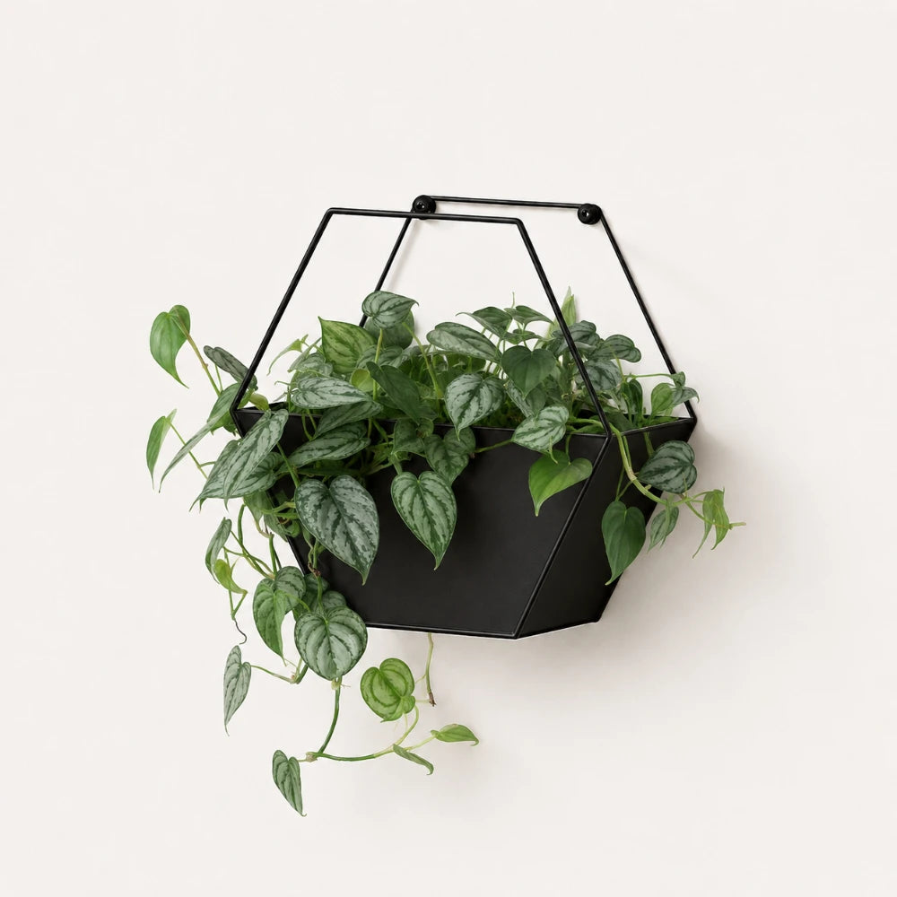 Geometric Green Wall Collection