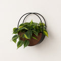 Serene Circle Collection