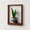 Timber Frame Collection