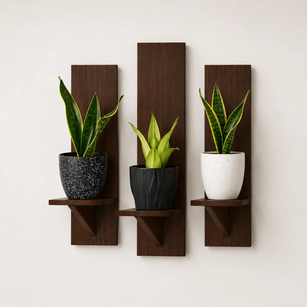 Timber Accent Collection