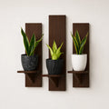 Timber Accent Collection