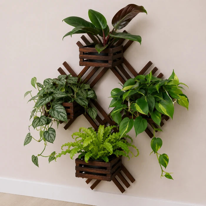 Botanical Grid Collection