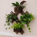 Botanical Grid Collection