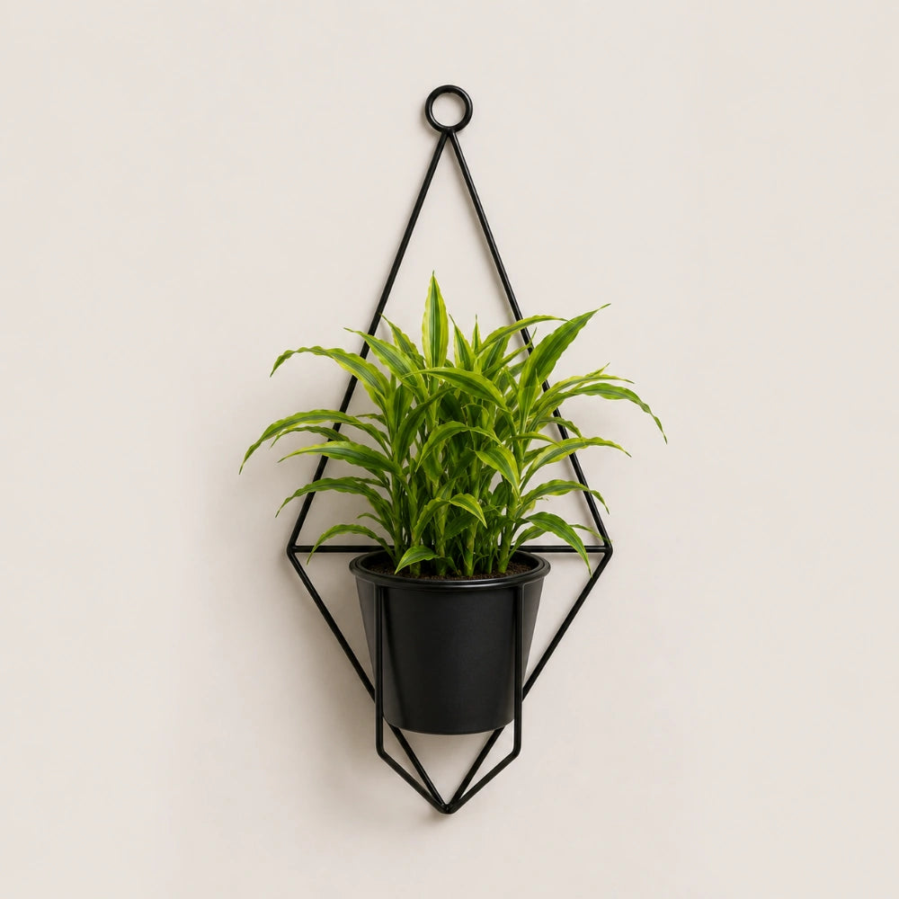 Hanging Harmony Collection