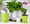 AquaView Self-Watering Planter