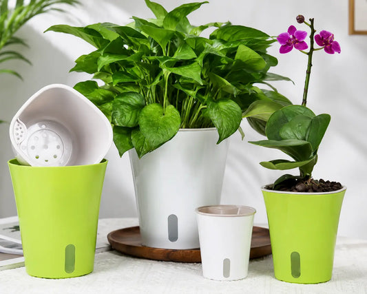 AquaView Self-Watering Planter