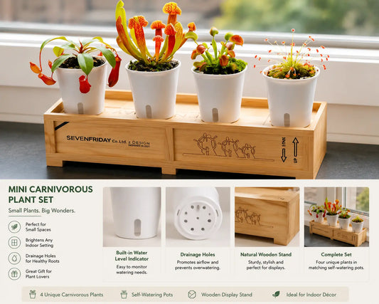 AquaView Self-Watering Planter